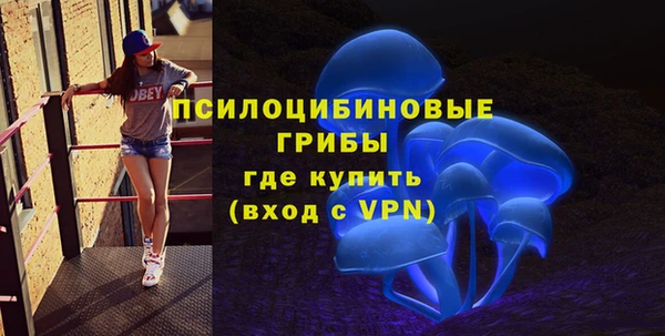 спиды Арсеньев